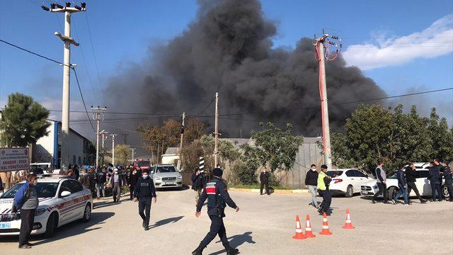 GÜNCELLEME - Mersin'de muz sarartma tesisinde çıkan yangına müdahale ediliyor