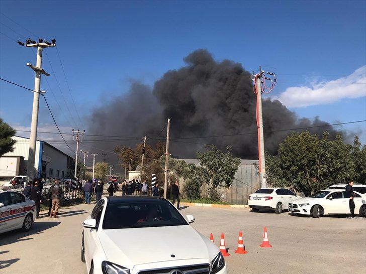 GÜNCELLEME - Mersin'de muz sarartma tesisinde çıkan yangına müdahale ediliyor G2