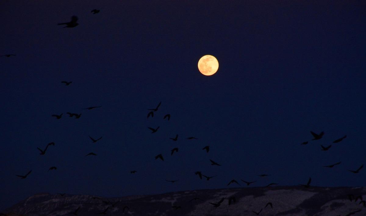 Tatvan&rsquo;da dolunay g&ouml;renleri mest etti