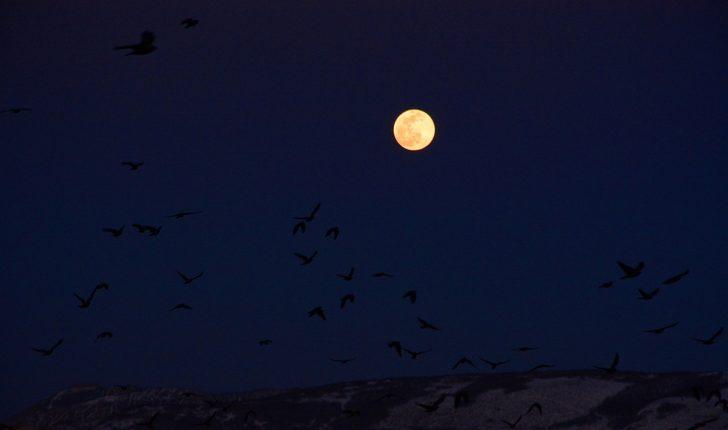 Tatvan’da dolunay görenleri mest etti G1