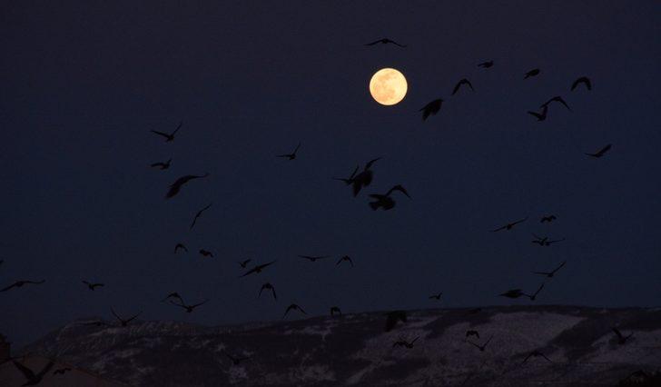 Tatvan’da dolunay görenleri mest etti G2