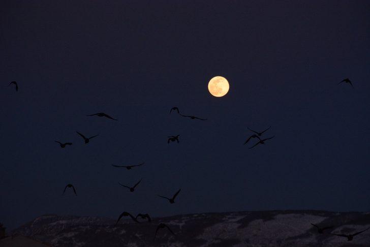 Tatvan’da dolunay görenleri mest etti G3
