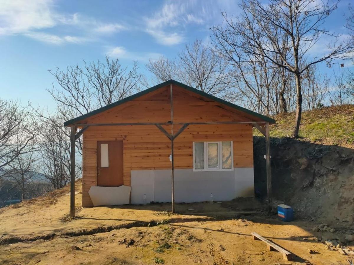 Ormana yapılan kul&uuml;bede define ararken su&ccedil;&uuml;st&uuml; yakalandılar