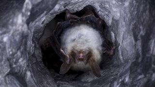 Koronaya ilişkin çok ilginç iddia: O şekilde bulaşmadı!