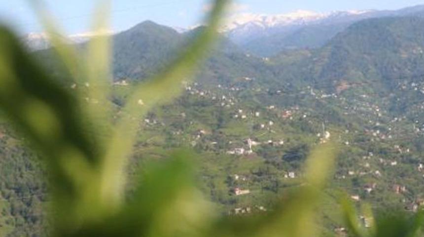 Doğu Karadeniz için koronavirüs uyarısı! 100 binin üzerinde kişinin gelmesi bekleniyor