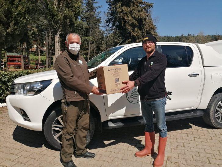 Nesli tehlikede olan Ağaç Yediuyuru Balıkesir’de görüldü G3