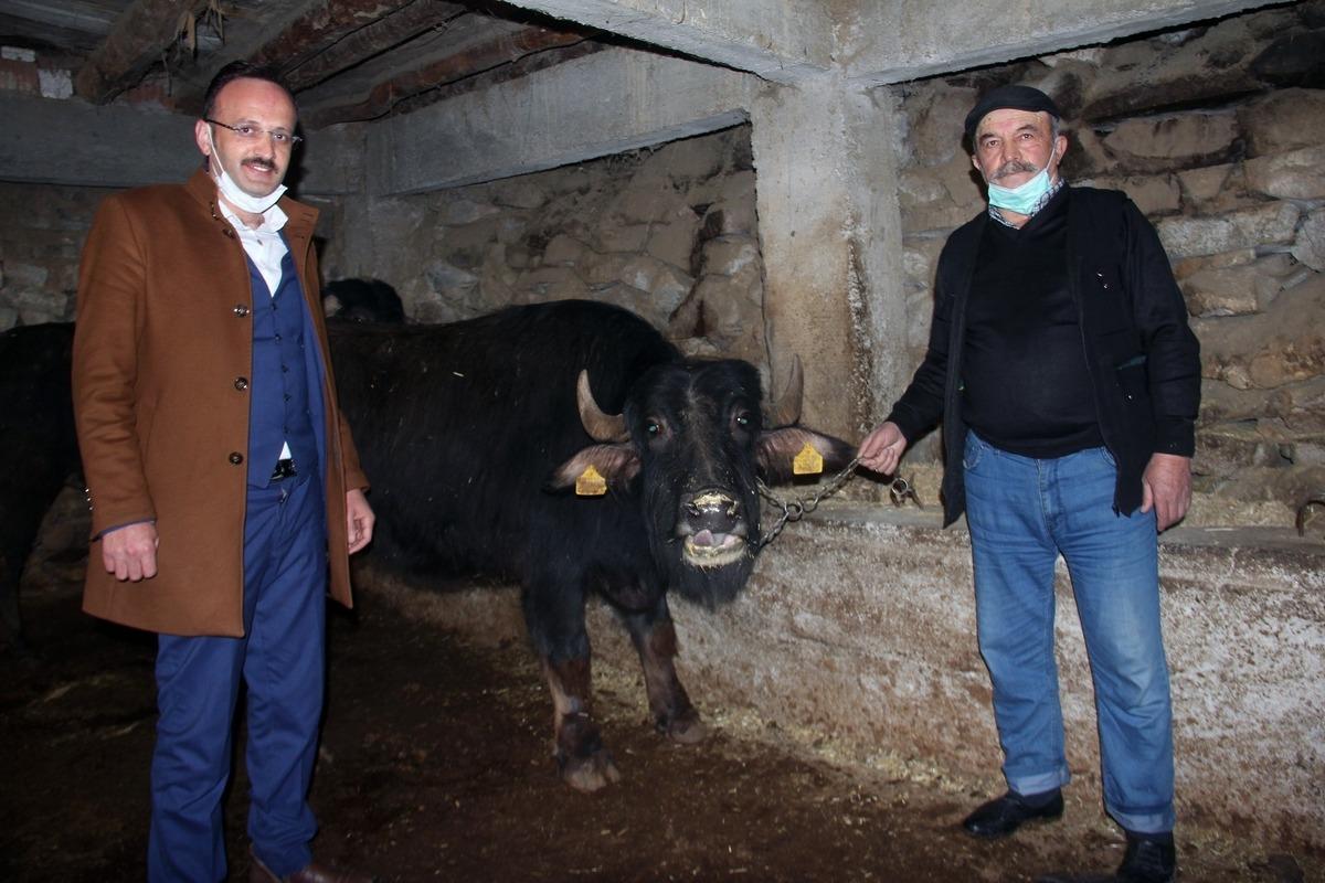 Giresun&rsquo;da manda yetiştiriciliği y&uuml;z g&uuml;ld&uuml;r&uuml;yor