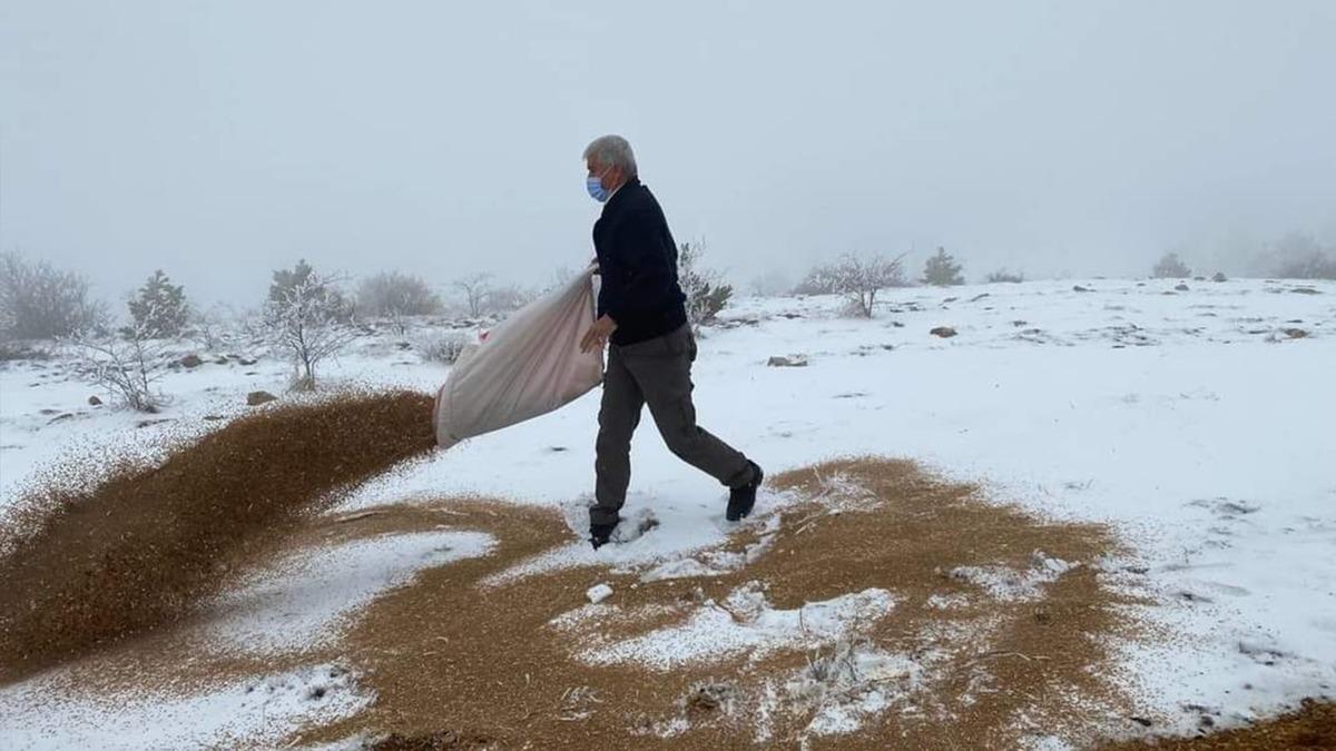 Kırıkkale&rsquo;de doğaya bin kilogram yem bırakıldı