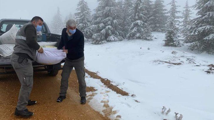 Kırıkkale’de doğaya bin kilogram yem bırakıldı G2