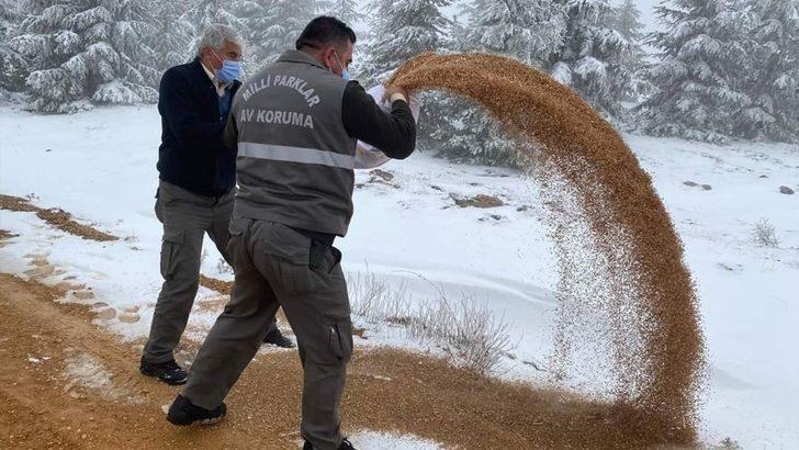 Kırıkkale’de doğaya bin kilogram yem bırakıldı G3