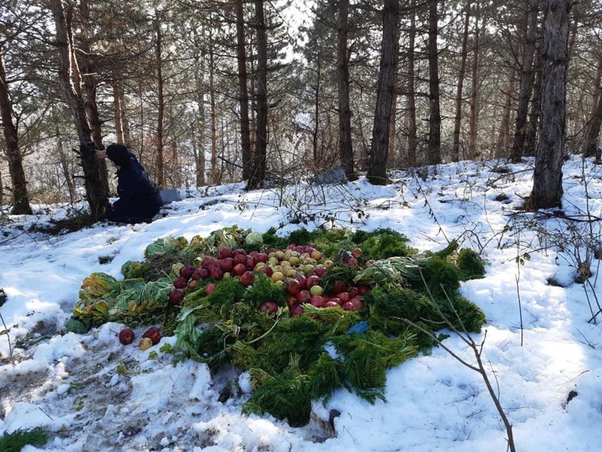 Yaban hayata yem bırakıldı