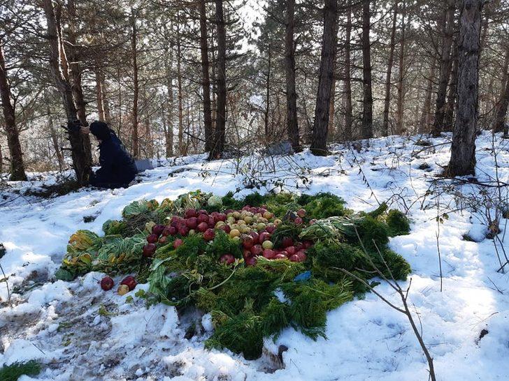 Yaban hayata yem bırakıldı G1