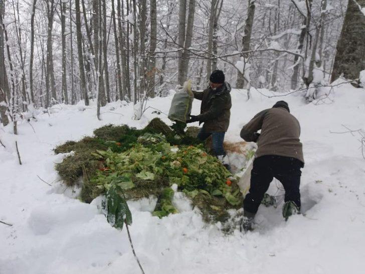Yaban hayata yem bırakıldı G2