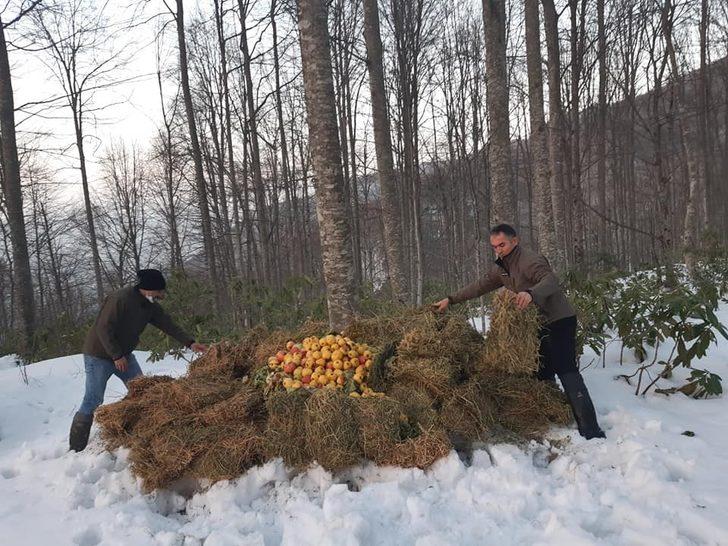 Yaban hayata yem bırakıldı G3
