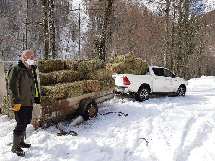 Yaban hayata yem bırakıldı G4
