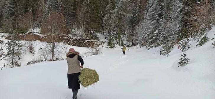 Yaban hayata yem bırakıldı G5