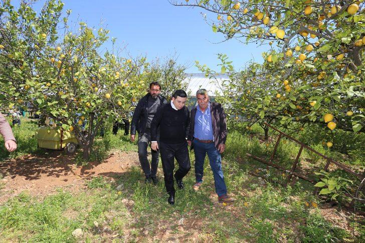 Hakan Tütüncü, sacın başına oturup gözleme pişirdi G3