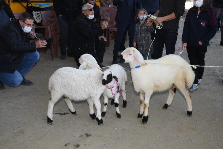 En güzel kuzu ve buzağı ödüllendirildi G5