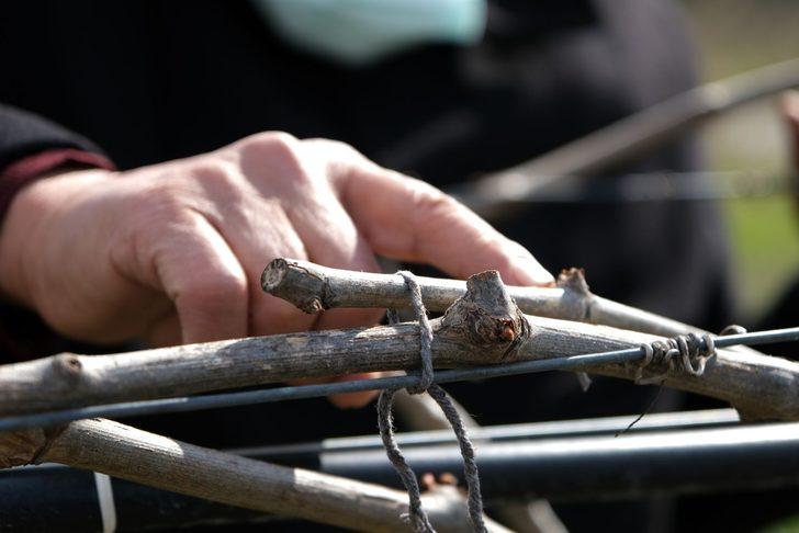 Manisa’nın 9 ilçesine zirai don uyarısı G2