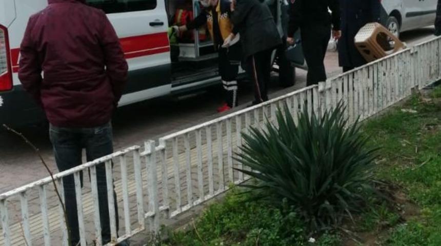 Pazar alışverişine giden 70 yaşındaki yaşlı kadın, d&uuml;şerek yaralandı