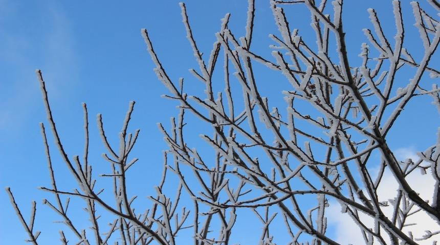 Meteoroloji&rsquo;den Aydın&rsquo;a &rsquo;zirai don&rsquo; uyarısı