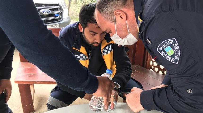 Sağlık&ccedil;ının parmağını arı soktu