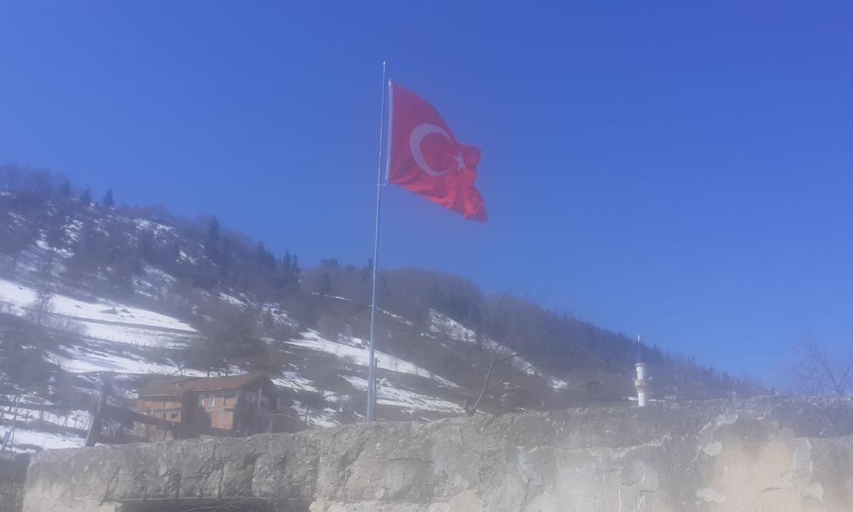 Mahalleye dev T&uuml;rk bayrağı astılar