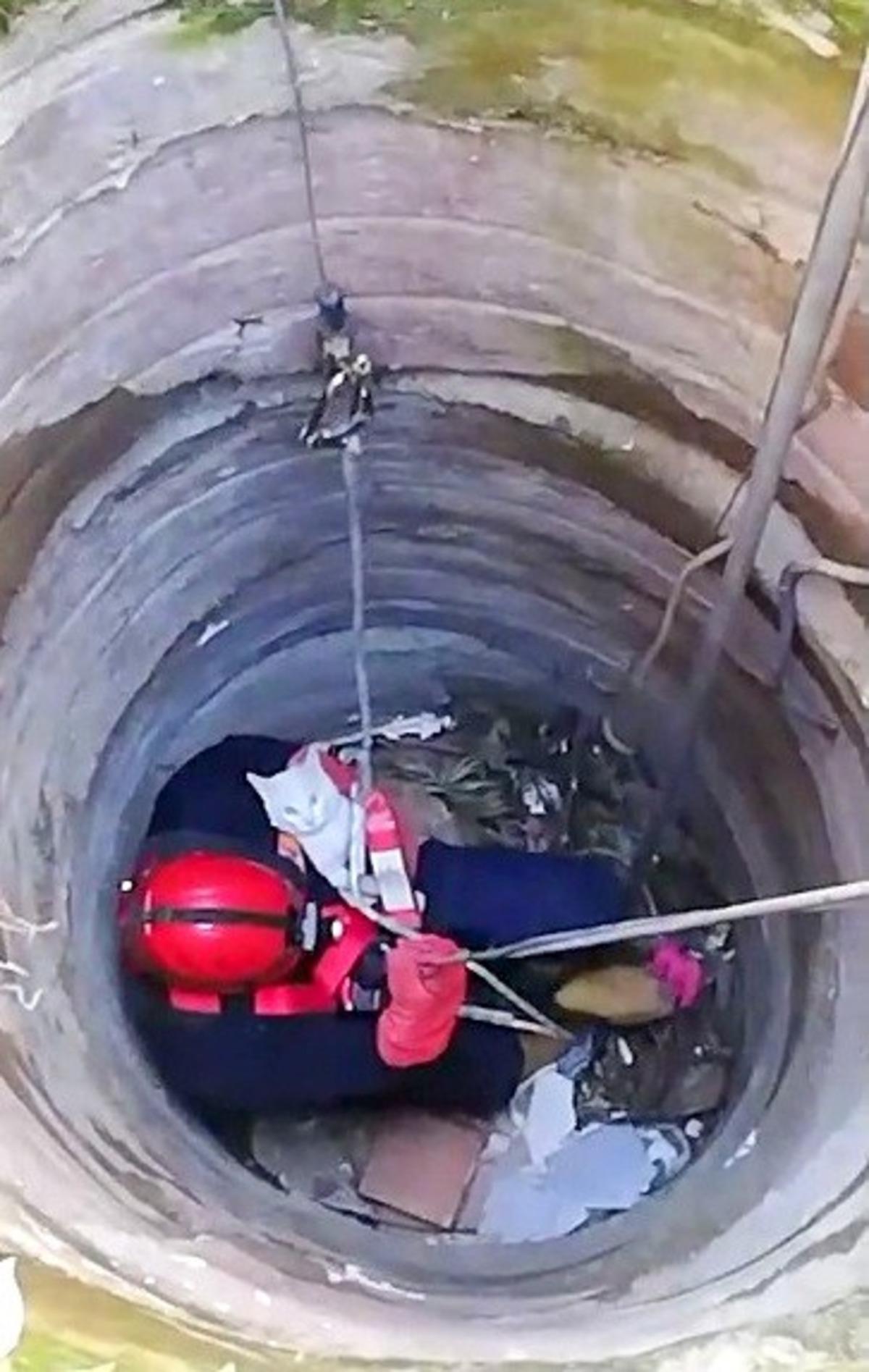10 metrelik kuyuya d&uuml;şen kediyi itfaiye kurtardı