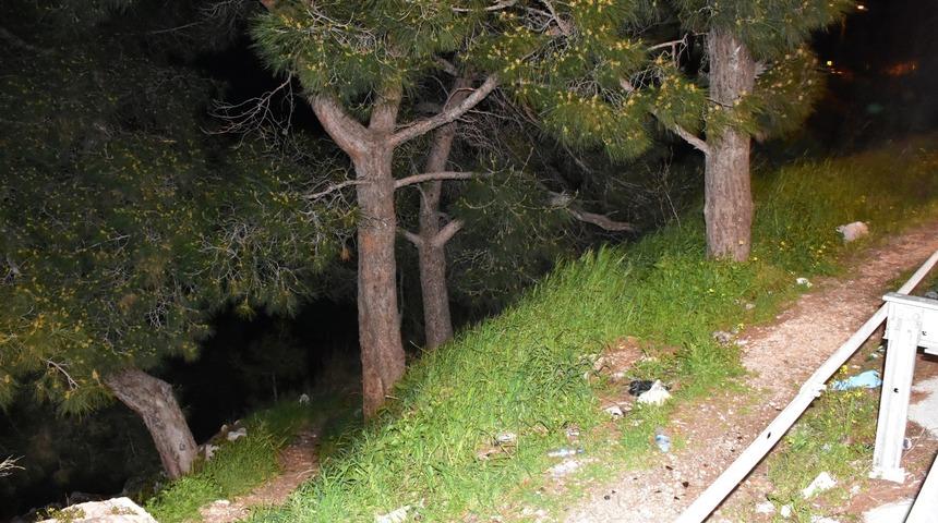 Ormanlık alandaki kafatası ve kemikleri, define arayan ikili bulmuş