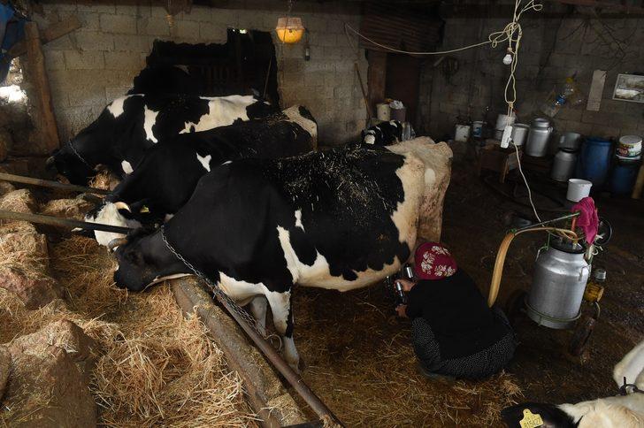 Tarsus Belediyesi, Halk Market ile küçük üreticiye destek veriyor G2