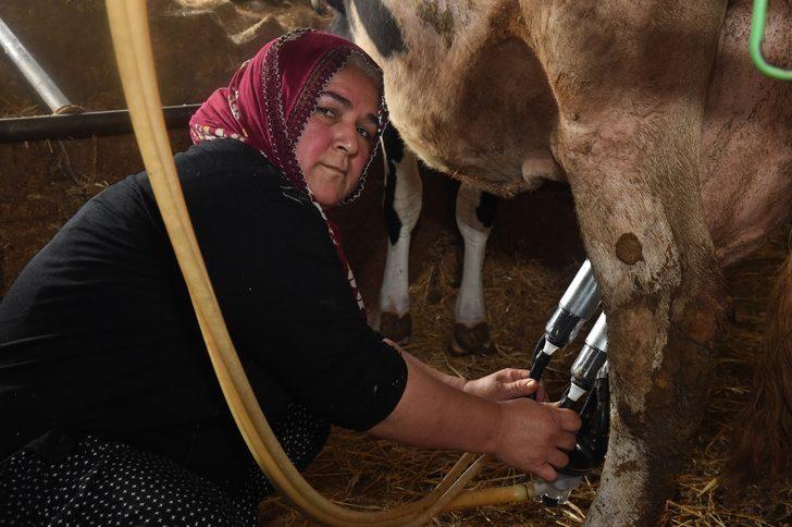 Tarsus Belediyesi, Halk Market ile küçük üreticiye destek veriyor G3