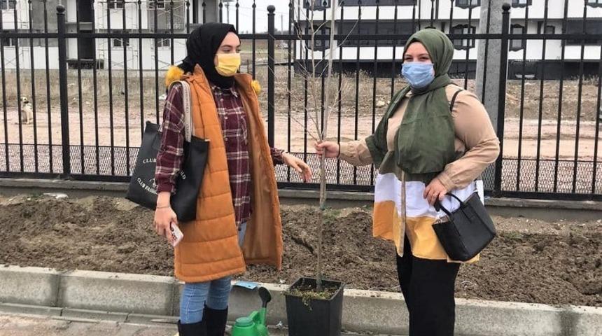 Okul bah&ccedil;esi ağa&ccedil;landırıldı