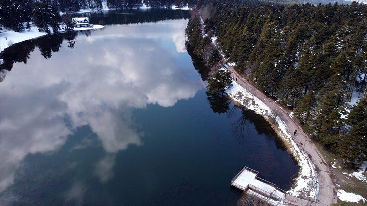 Gölcük Tabiat Parkı'nda açan çiçekler güzel görüntüler oluşturdu G1