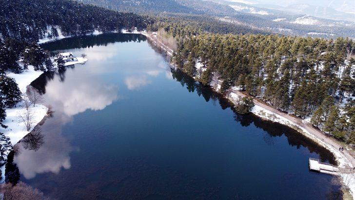 Gölcük Tabiat Parkı'nda açan çiçekler güzel görüntüler oluşturdu G3