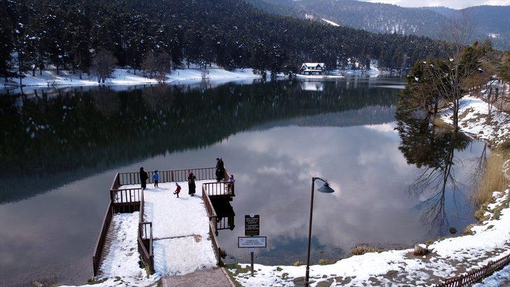 Gölcük Tabiat Parkı'nda açan çiçekler güzel görüntüler oluşturdu G2