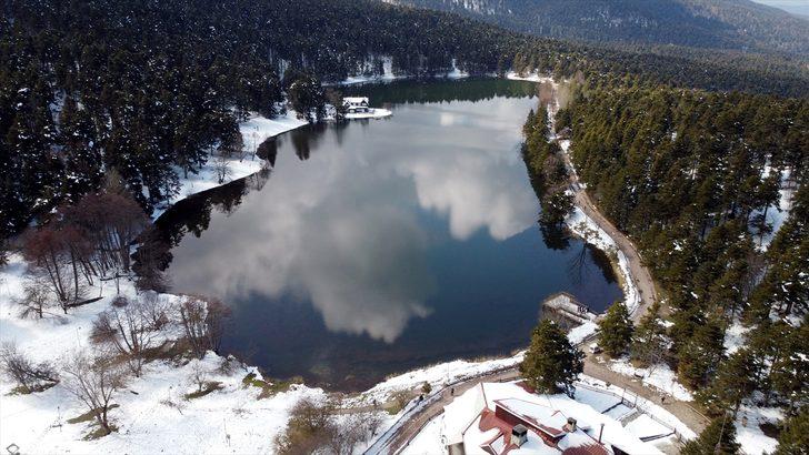 Gölcük Tabiat Parkı'nda açan çiçekler güzel görüntüler oluşturdu G4
