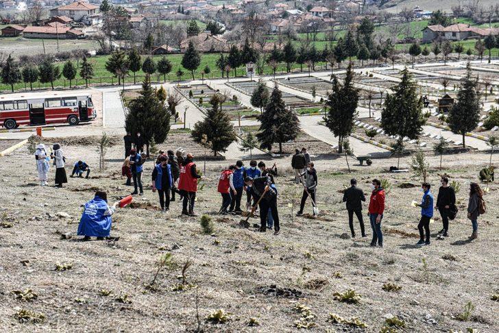 Her ay aynı gün fidan dikiyorlar G3