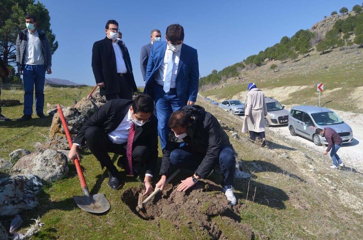 Selendi&rsquo;de kızıl&ccedil;am fidanları toprakla buluştu