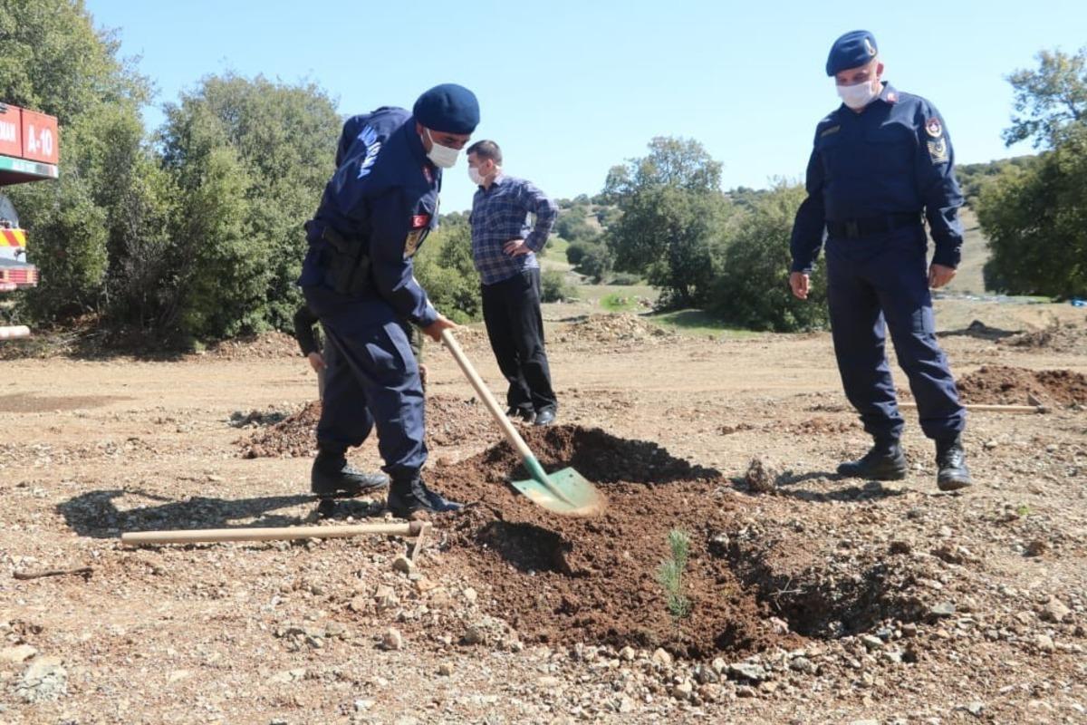 Jandarma fidan dikti