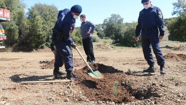 Jandarma fidan dikti