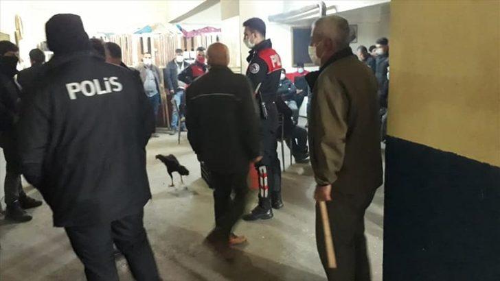 Elazığ'da horoz dövüştüren 24 kişi suçüstü yakalandı G2