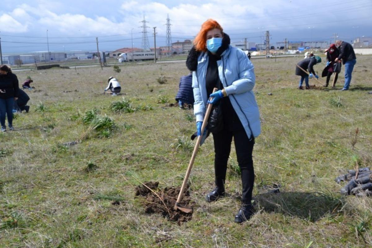 AK Kadınlar fidan dikim etkinliği d&uuml;zenledi