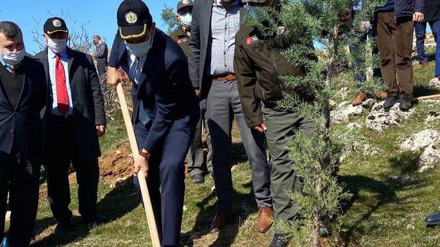 ‘Önce Vatan Tepesi’nde fidanlar toprakla buluştu