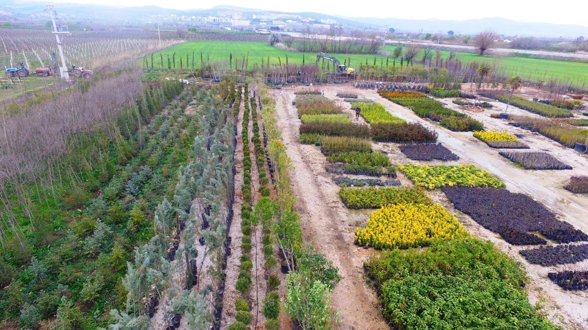 Yunusemre&rsquo;de 50 bin fidan ve &ccedil;alı bahara hazırlanıyor