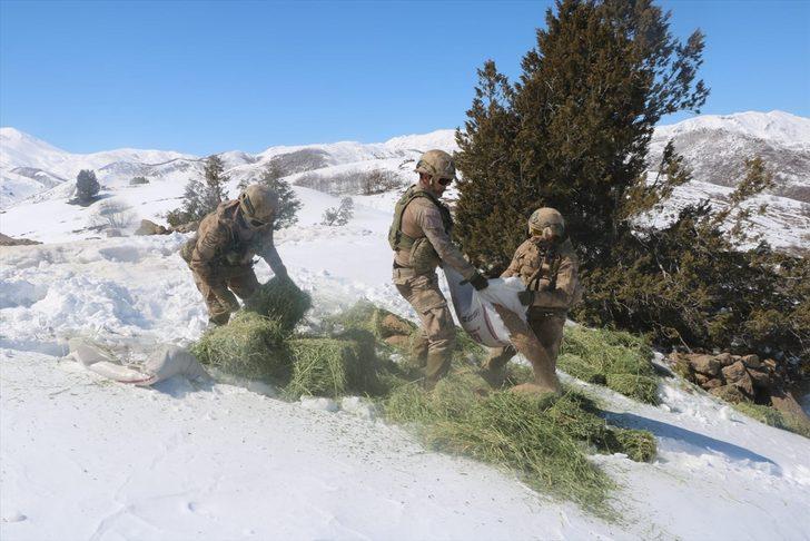 Tunceli'de askeri helikopterler yaban hayatı için havalandı G2