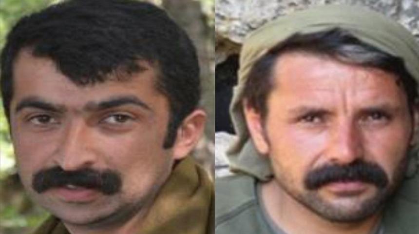 'Kırmızı' kategoride aranan PKK'nın sözde Mardin sorumlusu etkisiz hale getirildi