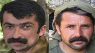 'Kırmızı' kategoride aranan PKK'nın sözde Mardin sorumlusu etkisiz hale getirildi