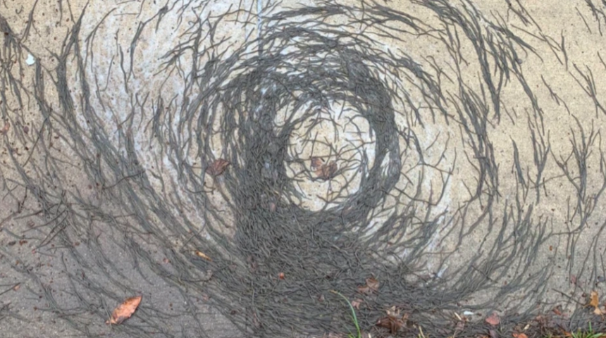 Solucan kasırgası! Bilim insanları bile şaşkın: 'Böyle bir şeyi ilk defa görüyoruz'