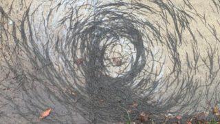 Solucan kasırgası! Bilim insanları bile şaşkın: 'Böyle bir şeyi ilk defa görüyoruz'