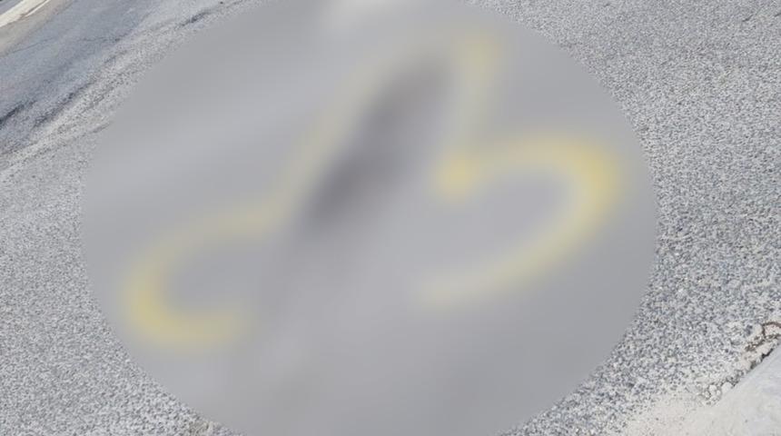 Yetkilileri göreve çağırma şekli şaşkına çevirdi! Yola penis şekli çiziyor